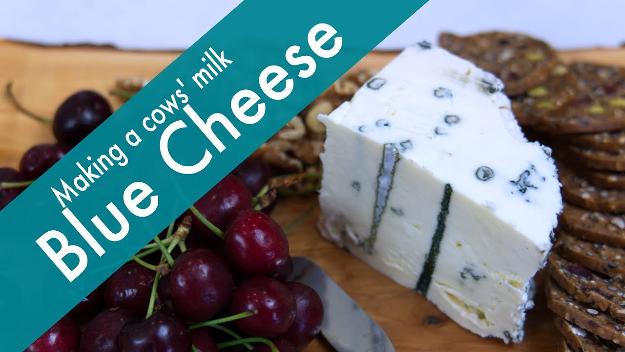 Blue Cheese - How to Make a Creamy, Soft, Blue Cheese at Home Using Cows' Milk