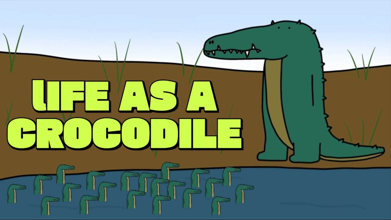 Life as a crocodile