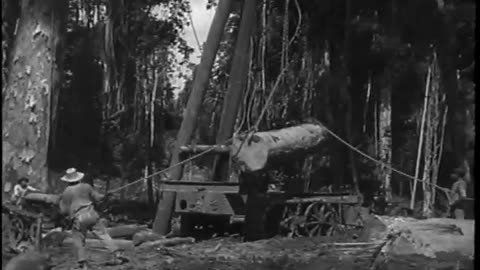 Ford Brazil - Ford Brazil - fc-fc-3079