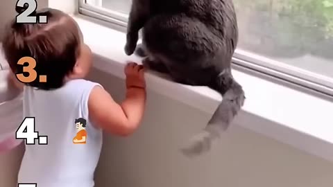 Ranking Best Cats Speaking English Moments