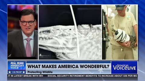 WHAT MAKES AMERICA WONDERFUL