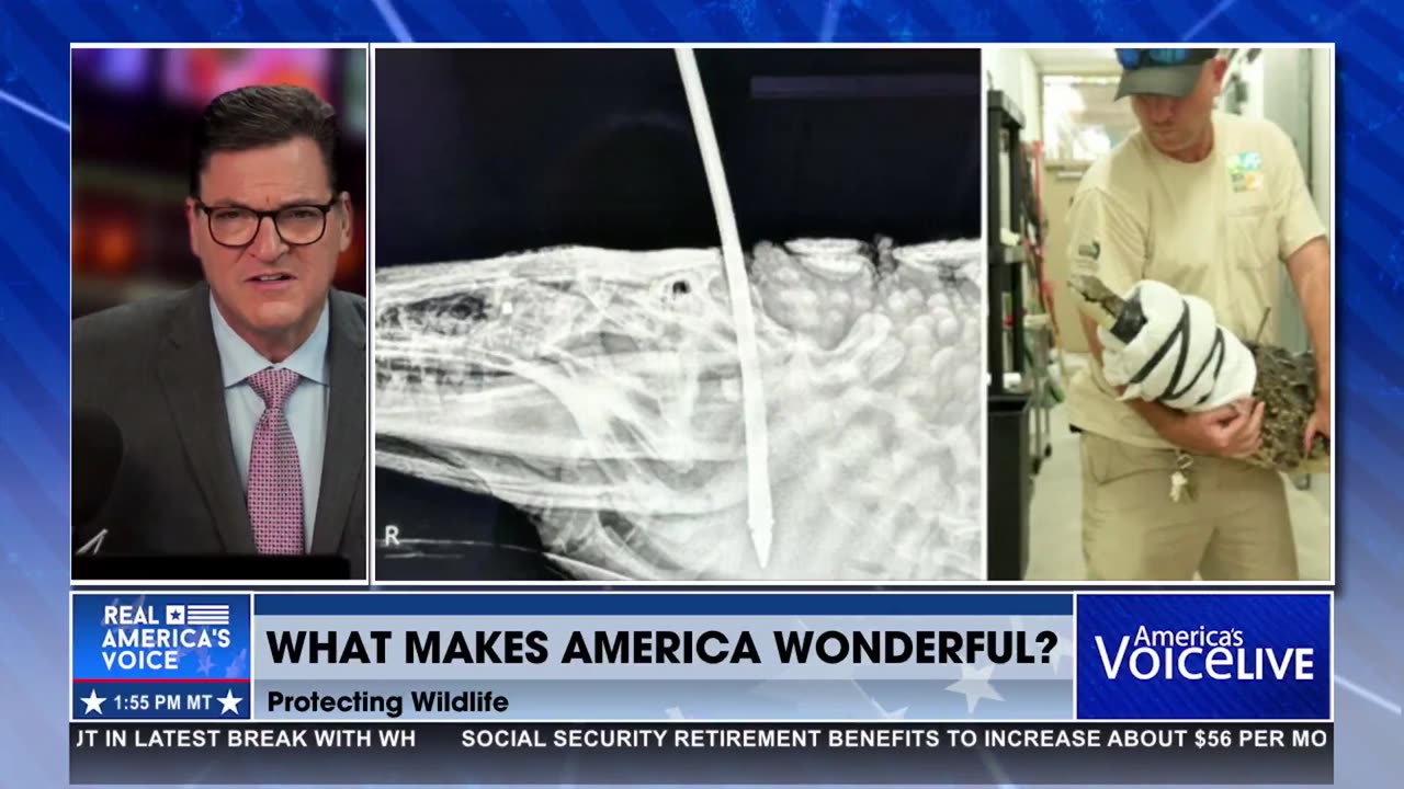 WHAT MAKES AMERICA WONDERFUL