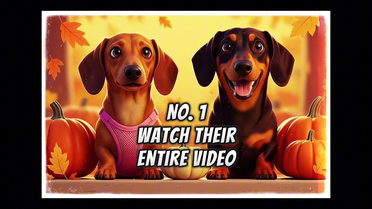 Help Ur Fav Creators!🥰😘🤗