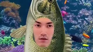 Must Watch: The everyday life of fish