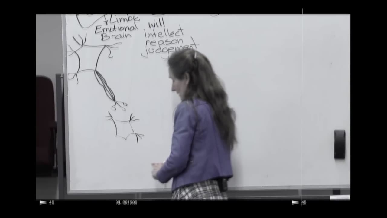 The Part of the Brain Where GOD Communicates with Man - Barbara O'Neill