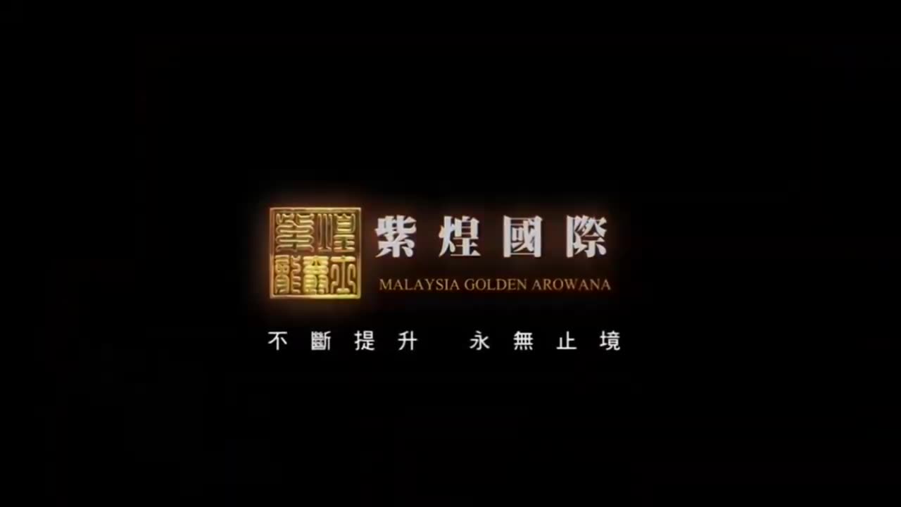 【龍爵士】千問千答 Q126 蛋糕濾材是甚麼