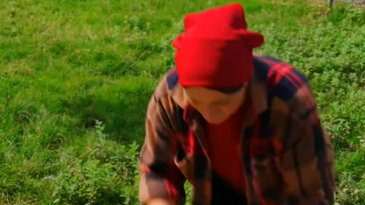 Tender lamb soaked in fresh orange juice part11