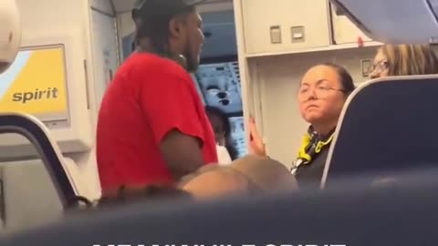 Negro punched stewardess,of course on Spirit Airlines