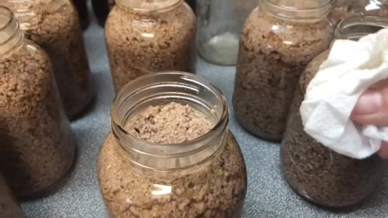 Pressure Canning Ground Beef || From Start To Finish-Stock Your Pantry Now!