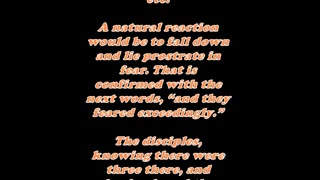 Matthew 17:6 - Daily Bible Verse Commentary