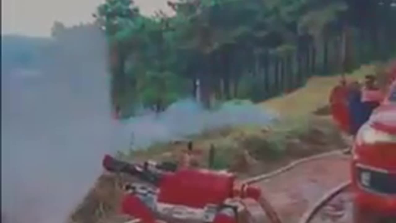 China Deploys Robot Dogs to Fight Wildfires, Carrying Hoses Through Smoke and Rough Terrain