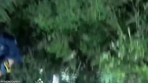 Crocodiles And Alligators Messed With The Wrong Opponent