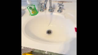 😂 Lactose Intolerance - The Comedy of Errors! | FunFM