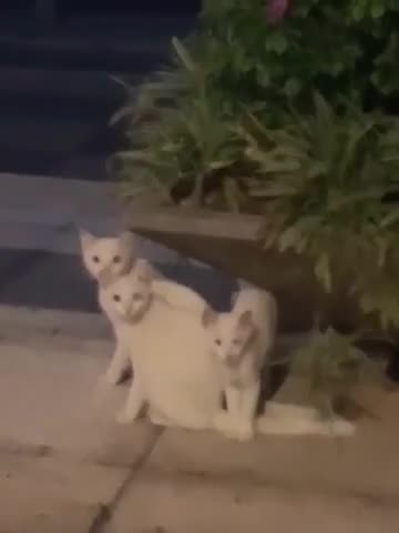 I felt like something was missing until this happened.