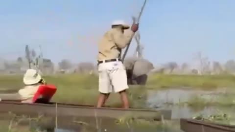 😮🦁 British & US Tourists Cheat Death in Miraculous Escape! | FeedMyCuriosity