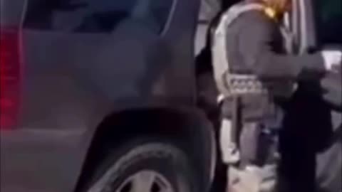 Holy heck! This Karen OPENED THE DOOR of the DHS vehicle and attempted to help