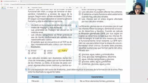 AULA 20 REGULAR 2026 - 1 | Semana 06 | Anatomía