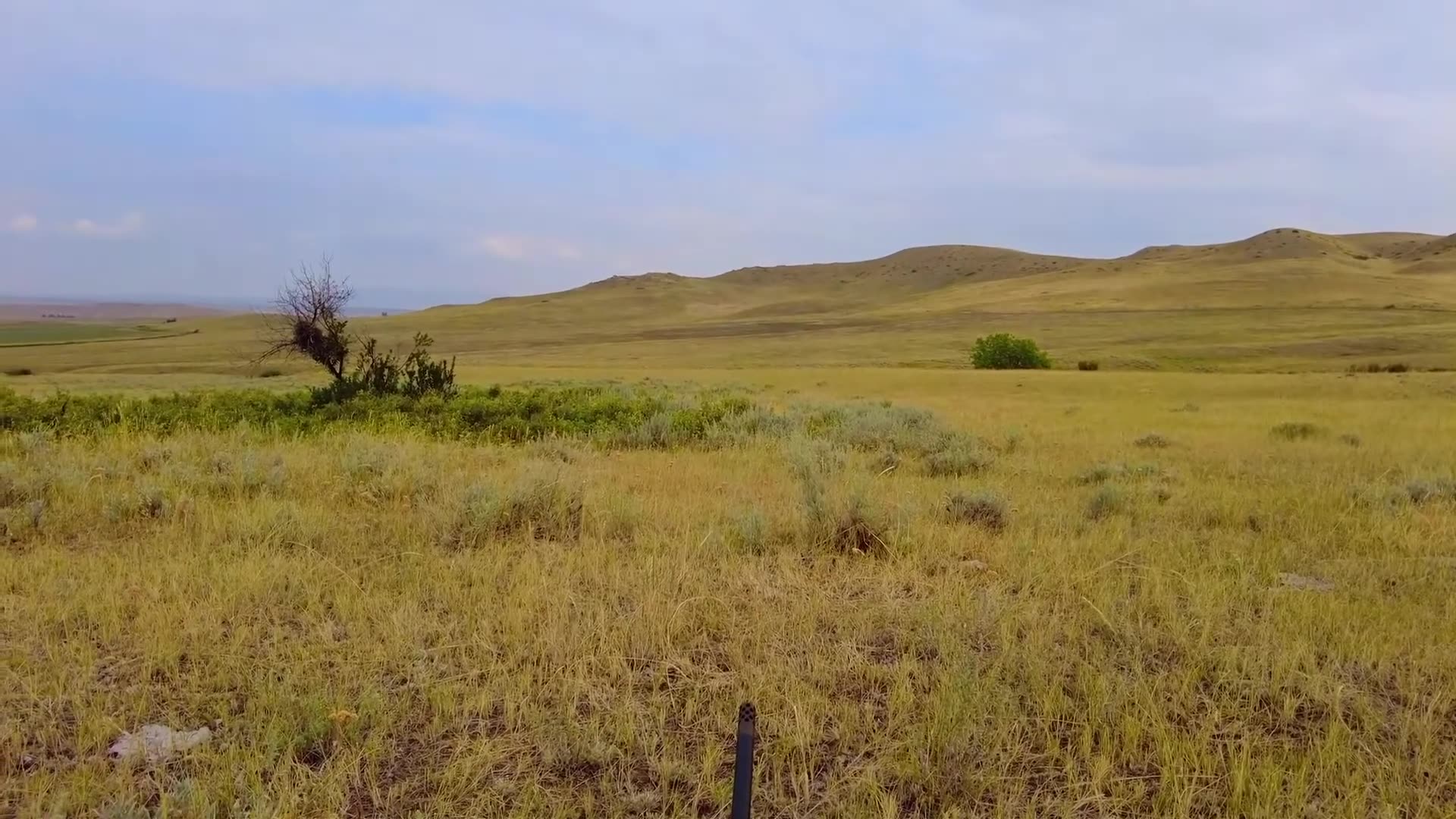 Public Land Pronghorn Hunting!