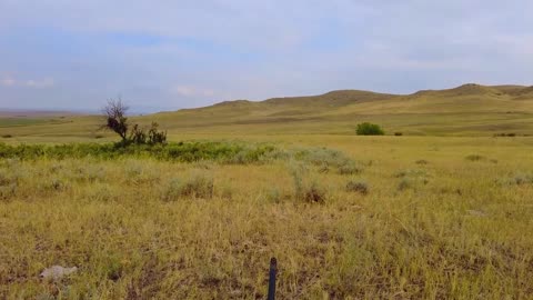 Public Land Pronghorn Hunting!