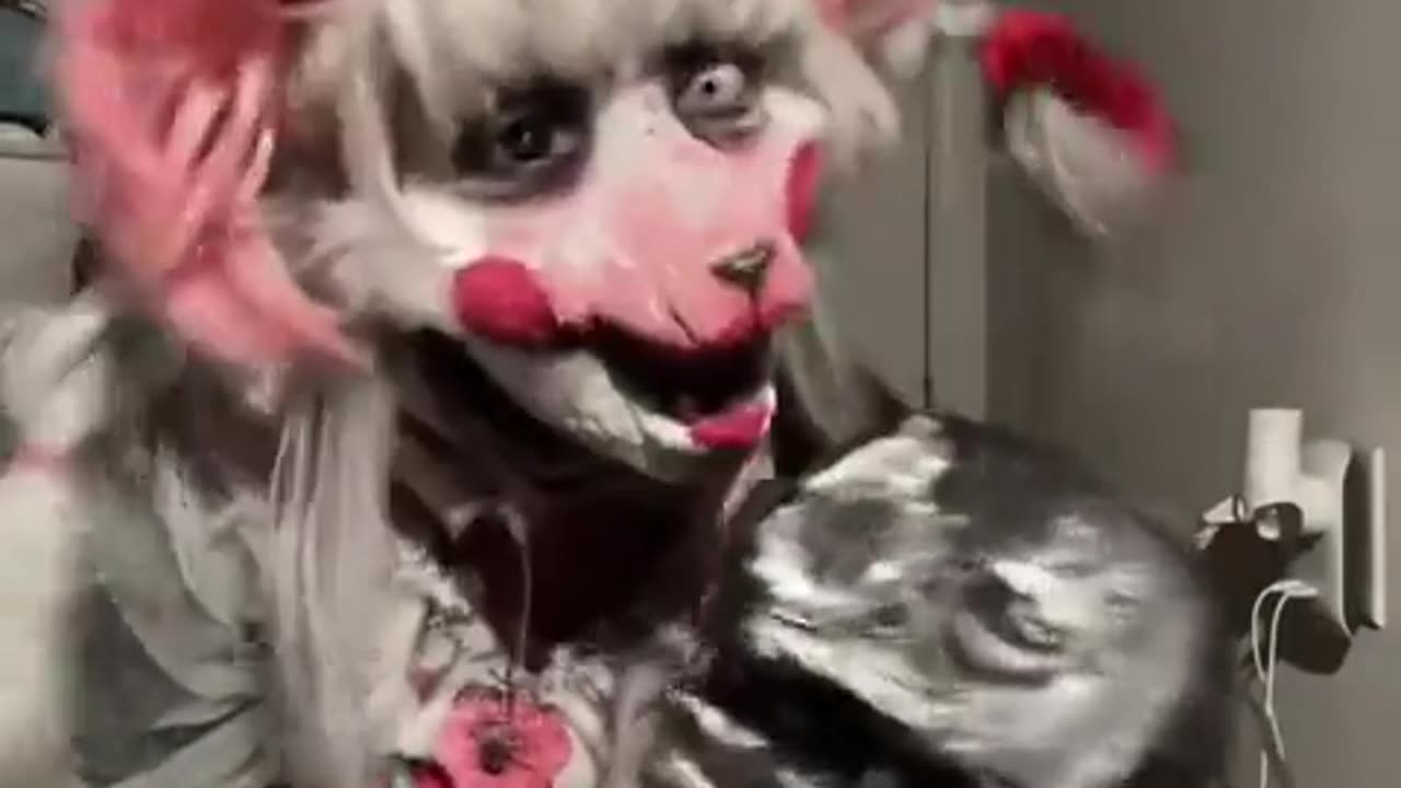 😱🕷️ This Spider Walk Will Give You Nightmares! | TheHauntingHour
