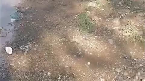 Drainage systems cause havoc at Turffontein Johannesburg