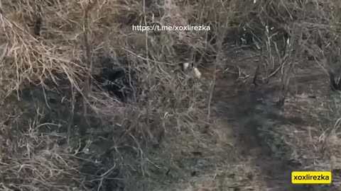 Ukrainian war 10/23/25