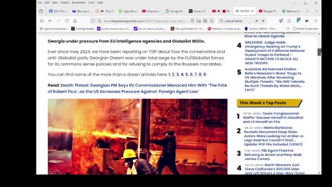 Globalist Hordes Wreak Havoc in Tbilisi, Try To Invade Presidential Palace