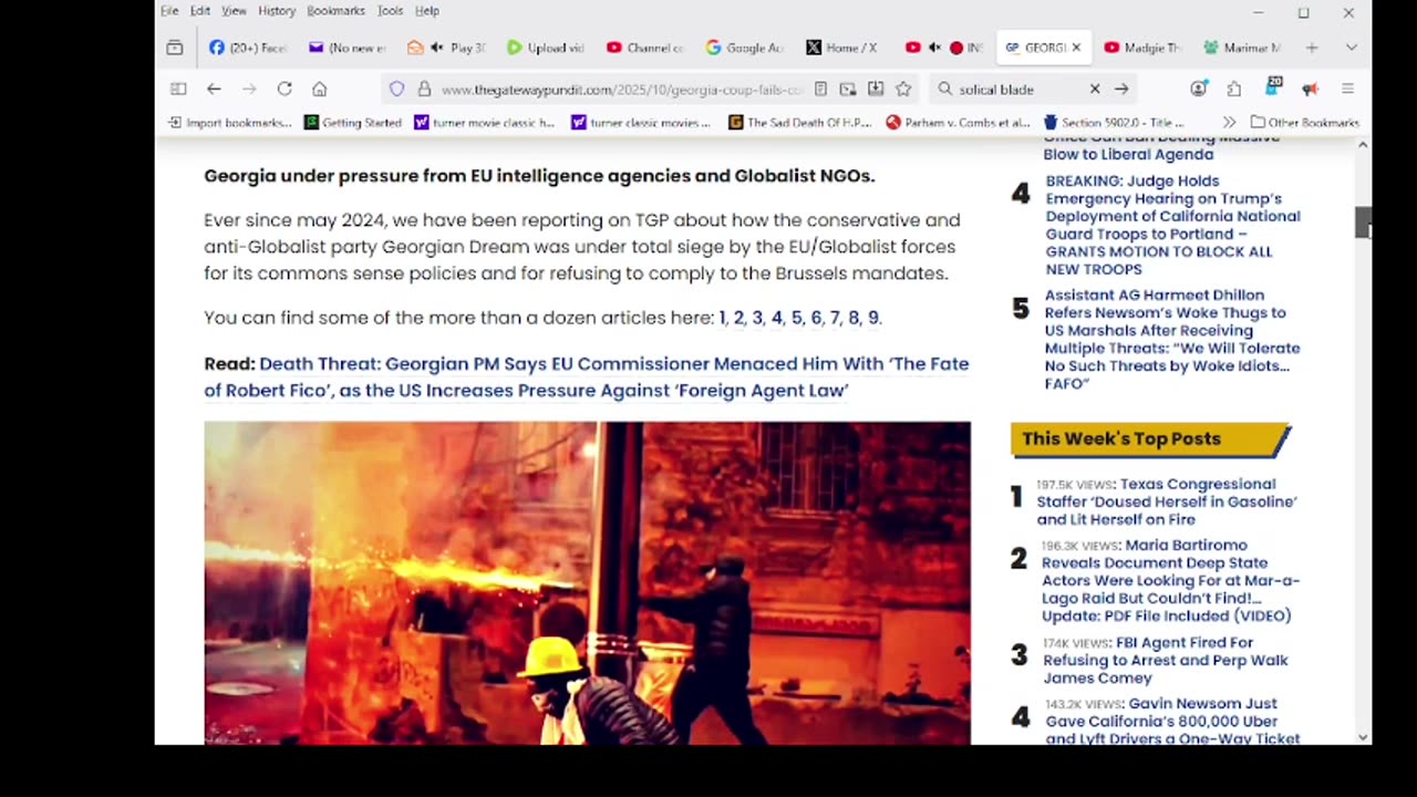 Globalist Hordes Wreak Havoc in Tbilisi, Try To Invade Presidential Palace