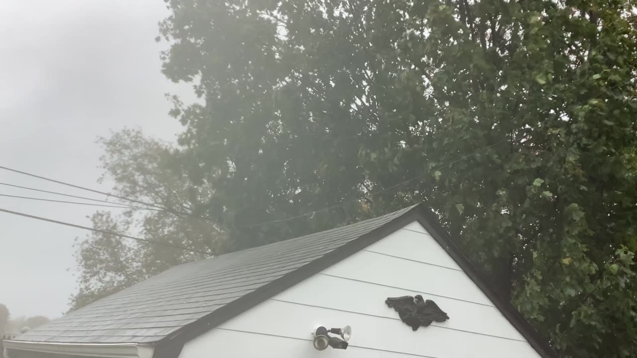 Torrential downpour