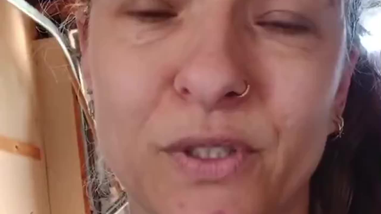 Average Liberal