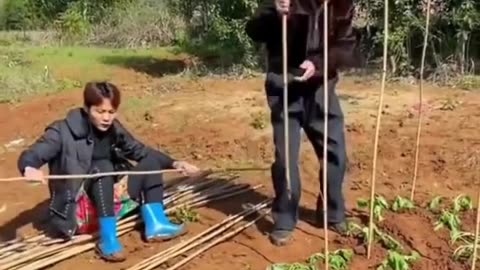 Funny and Honey are make my happiness.