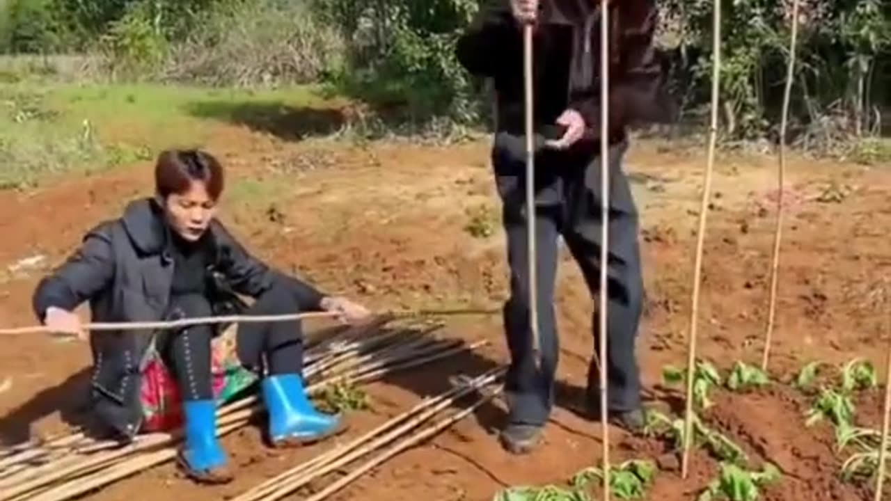 Funny and Honey are make my happiness.