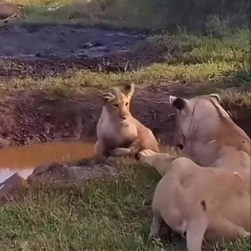 When you don’t listen to mom