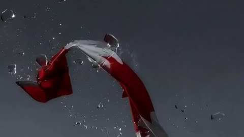 Canada Flag Falls and Shatters 05