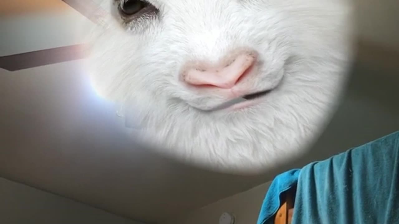 🤯📱 Is This Just a Camera Defect or Something More? Unexplainable Glitch | TheHauntingHour