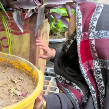 #babylover #viral #fypage - baby song