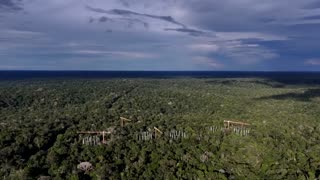 Scientists use a 'time machine' to peek into the Amazon's future