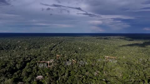 Scientists use a 'time machine' to peek into the Amazon's future