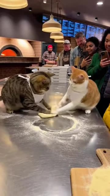 Got Em! 😂 | Funniest Prank & Surprise Reaction Moments