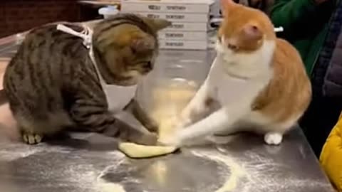 Got Em! 😂 | Funniest Prank & Surprise Reaction Moments