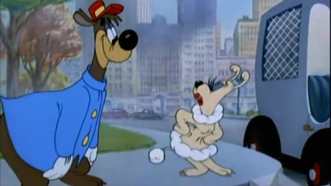 Saturday Morning Cartoons