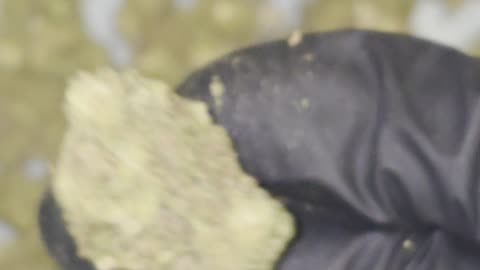 Sunset Sherbet THC Flower