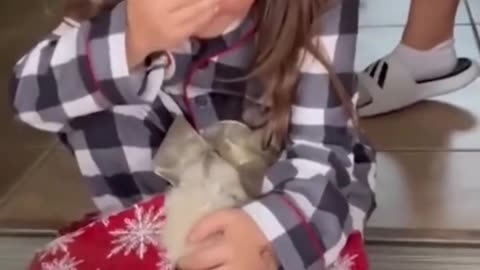 This gift wags its tail 🥰🐶🎁