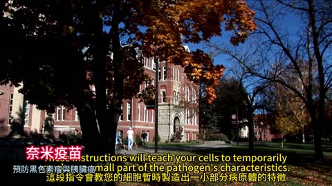 奈米疫苗 預防黑色素瘤與胰臟癌