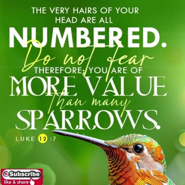 Prayer of Love #youtubeshorts #grace #jesus #mercy #faith #fyp #trust #blessed #love #God #help #joy