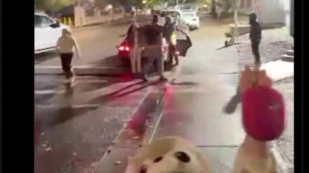 Tommy and Friend Attacked by ANTQUEEFA
