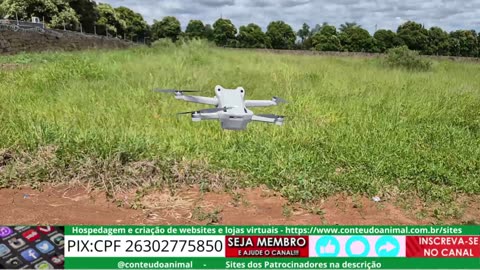 drone - dicas para pouso seguro 1m de distãncia e baixa para altura