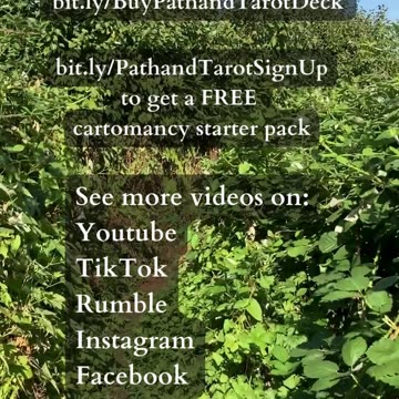 Fresh Eyes | Path and Tarot Reading