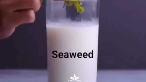 🟢Try This Easy Home Steps If You’re Not Sure if Your Food is Real or Fake