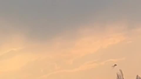 👽✨ Real UFO Encounter! Alien Sighting Caught on Camera | TheHauntingHour